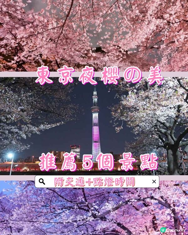 東京賞櫻之旅🌸不可以錯過夜櫻點燈！