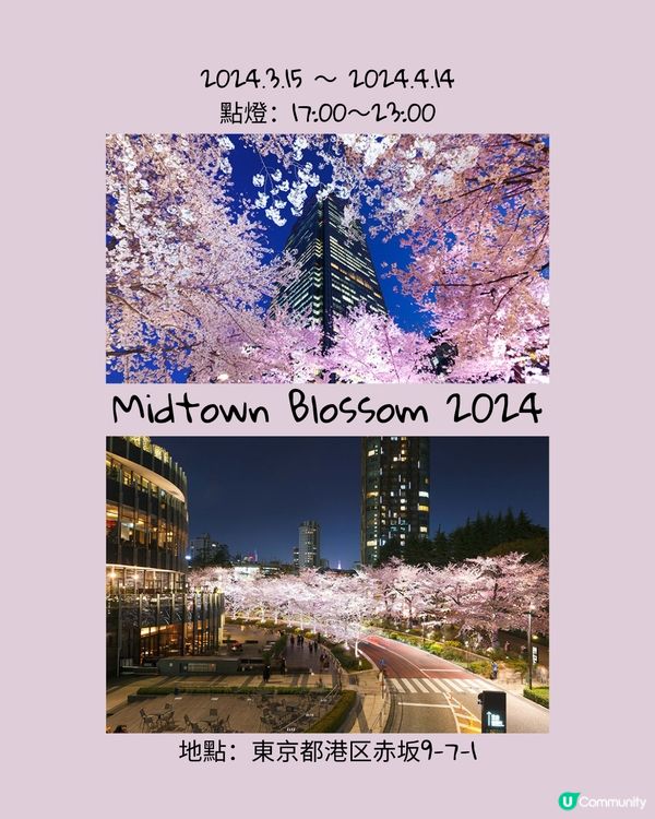 東京賞櫻之旅🌸不可以錯過夜櫻點燈！