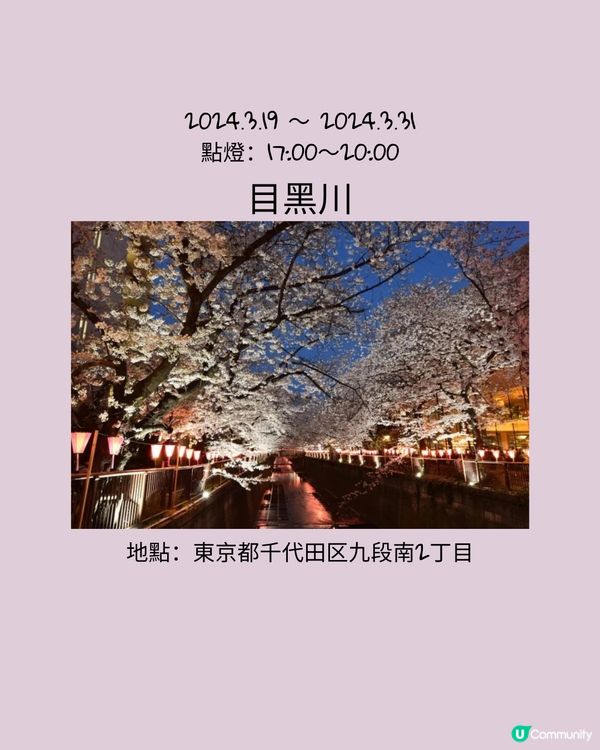 東京賞櫻之旅🌸不可以錯過夜櫻點燈！
