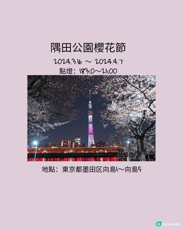 東京賞櫻之旅🌸不可以錯過夜櫻點燈！