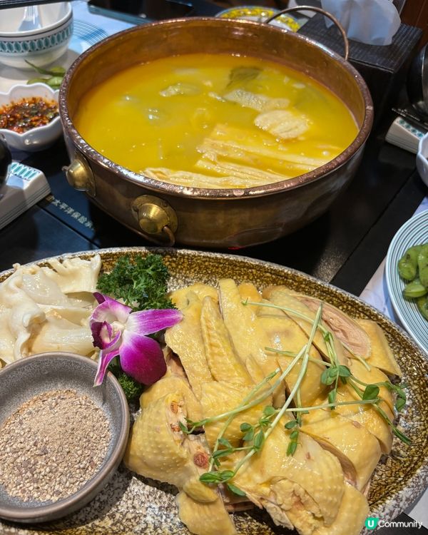 足料冇味精胡椒豬肚花膠雞鍋😍 銅鑼灣胡爐500+好評🔥