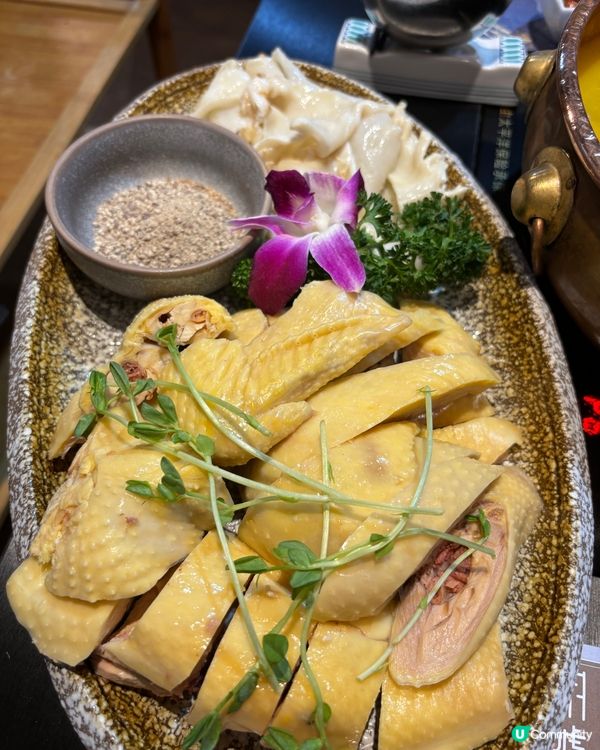 足料冇味精胡椒豬肚花膠雞鍋😍 銅鑼灣胡爐500+好評🔥