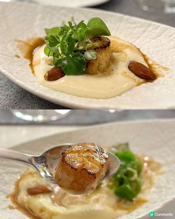 🌸🇻🇳越南必吃~高級法國菜🥖🍽️🍷