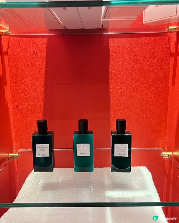 🌴帆船⛵️酒店 第二回