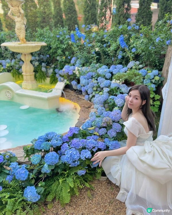 深圳，浪漫的南法小莊園cafe