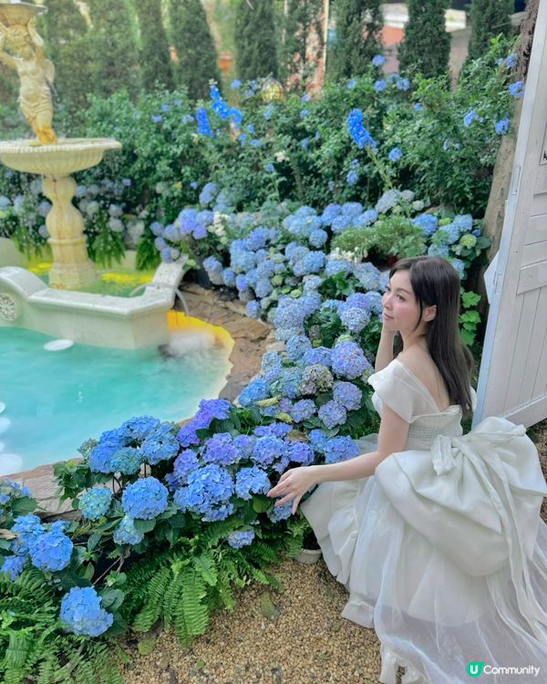 深圳，浪漫的南法小莊園cafe