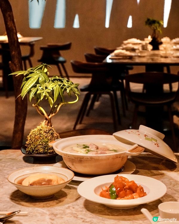 西九M+中式庭園享受精緻中菜