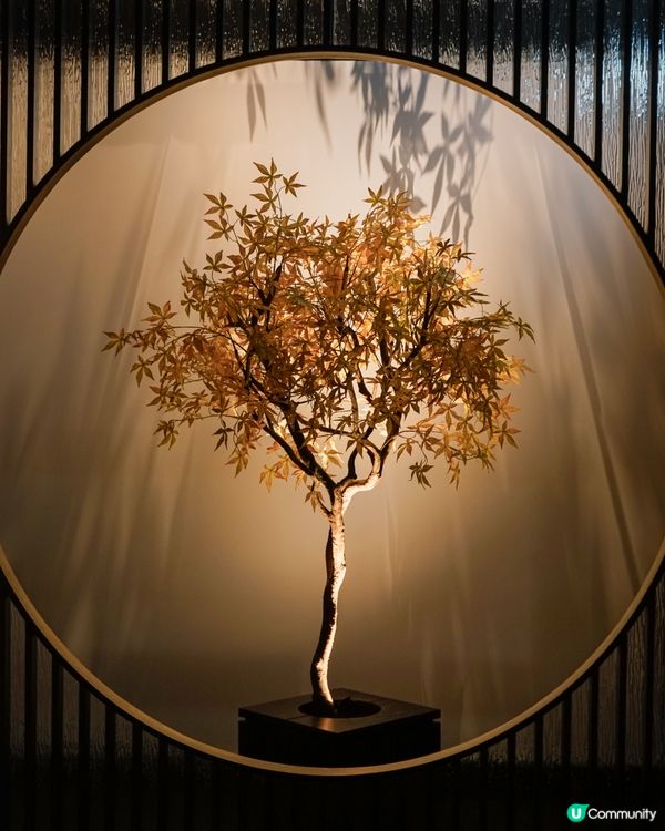 西九M+中式庭園享受精緻中菜