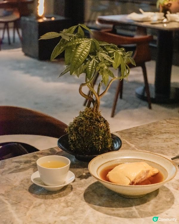 西九M+中式庭園享受精緻中菜