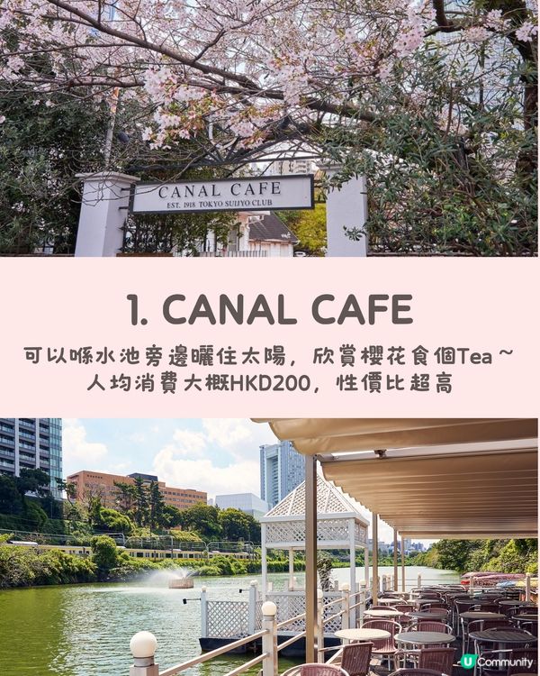 東京5️⃣間賞櫻餐廳🌸性價比高💰✨被櫻花包圍食Tea😍人生享受