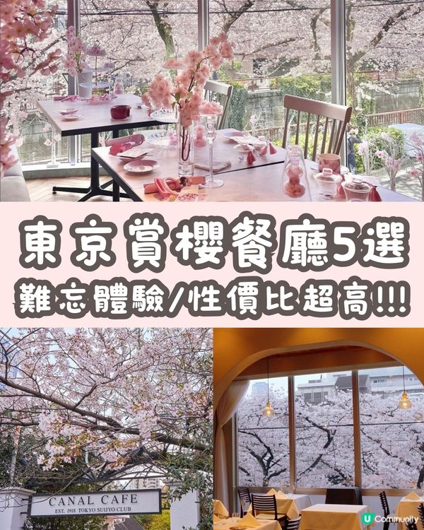 東京5️⃣間賞櫻餐廳🌸性價比高💰✨被櫻花包圍食Tea😍人生享受