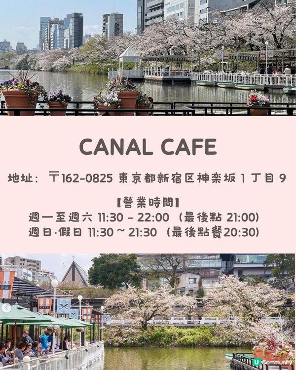 東京5️⃣間賞櫻餐廳🌸性價比高💰✨被櫻花包圍食Tea😍人生享受