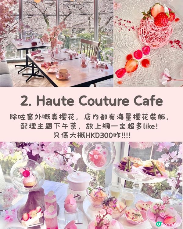 東京5️⃣間賞櫻餐廳🌸性價比高💰✨被櫻花包圍食Tea😍人生享受