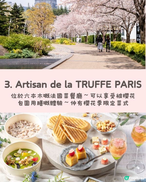 東京5️⃣間賞櫻餐廳🌸性價比高💰✨被櫻花包圍食Tea😍人生享受