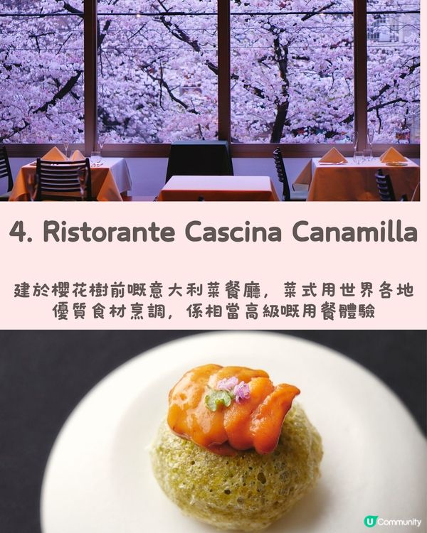 東京5️⃣間賞櫻餐廳🌸性價比高💰✨被櫻花包圍食Tea😍人生享受