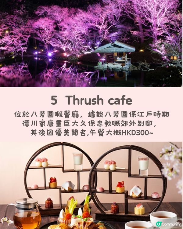 東京5️⃣間賞櫻餐廳🌸性價比高💰✨被櫻花包圍食Tea😍人生享受