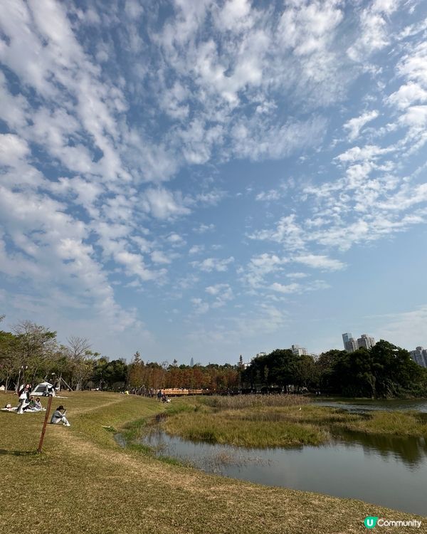 深業上城加蓮花山公園一日遊