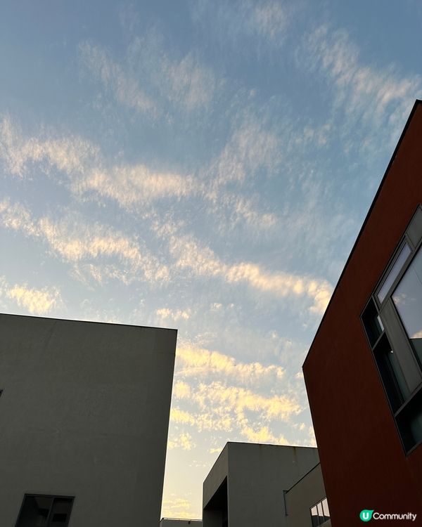 深業上城加蓮花山公園一日遊