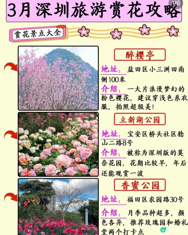 深圳三月賞花地方推介
