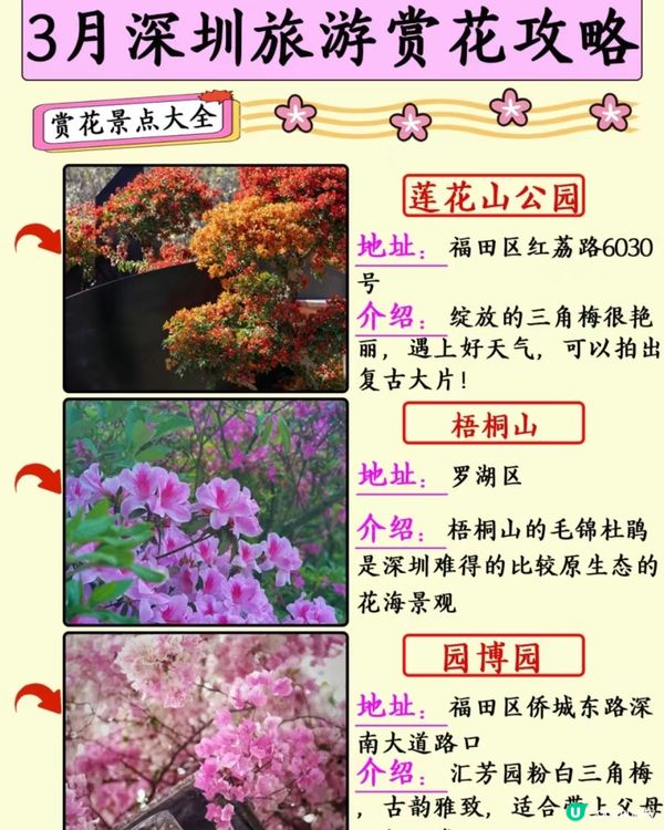 深圳三月賞花地方推介