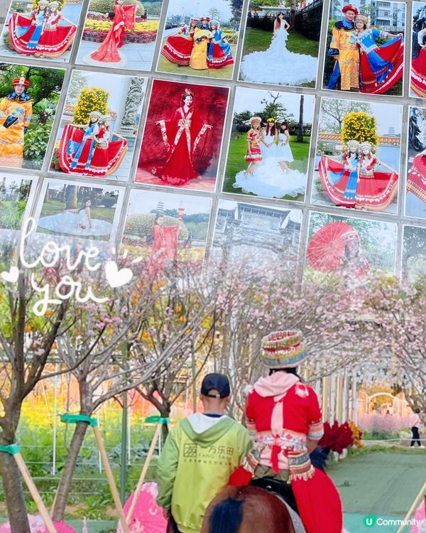 喺一方樂田可以體驗咩嘢