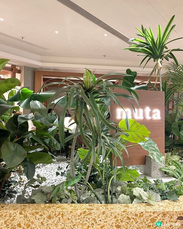 香港尖沙咀溫馨木系西日輕食餐廳-MUTA