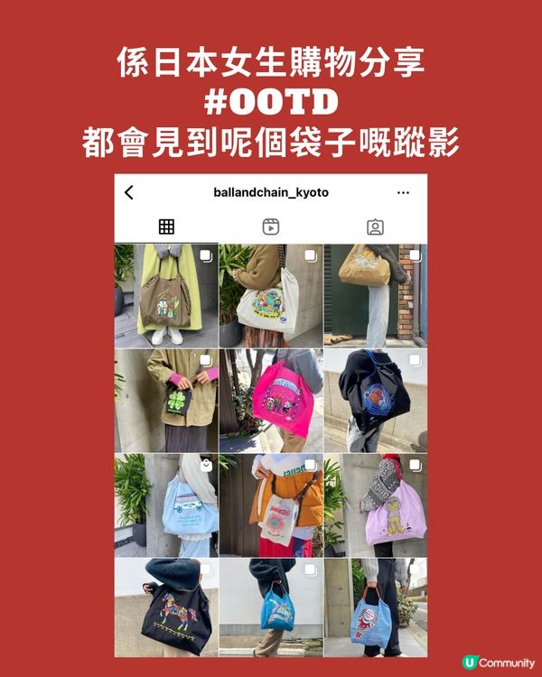 必買😍日本妹獨愛刺繡環保袋‼️