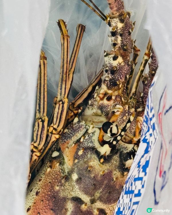 澳門附近的珠海海鮮