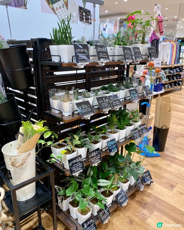 ［📸 台中2023新景點： LaLaport 打卡位]