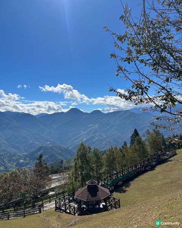 台灣小法國〰️青青草原🌳