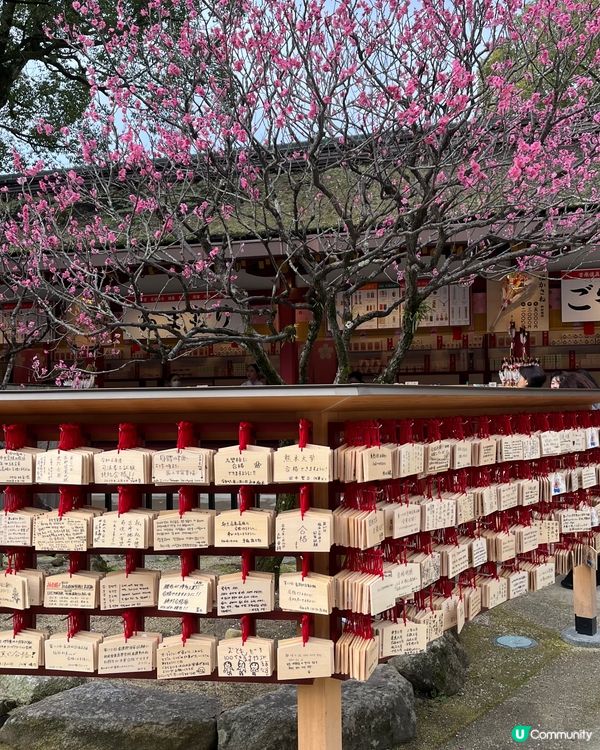 博多港豐一高cp值壽司燒海鮮