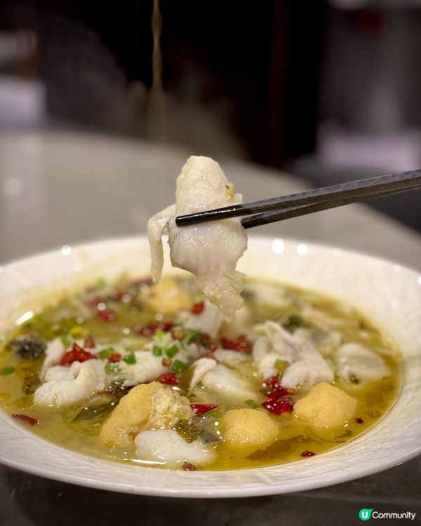 ♪無限時任飲任食火鍋四部曲🍲