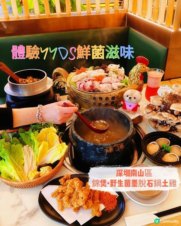 近關口！吃得到正宗雲南野生菌火鍋