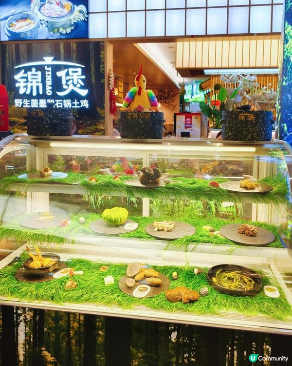 近關口！吃得到正宗雲南野生菌火鍋