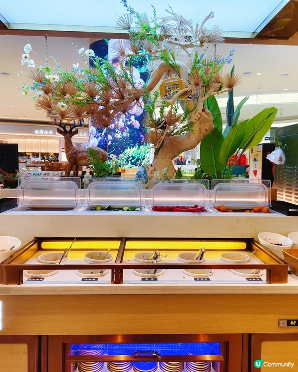 近關口！吃得到正宗雲南野生菌火鍋