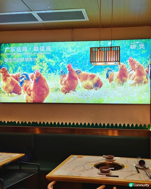 近關口！吃得到正宗雲南野生菌火鍋