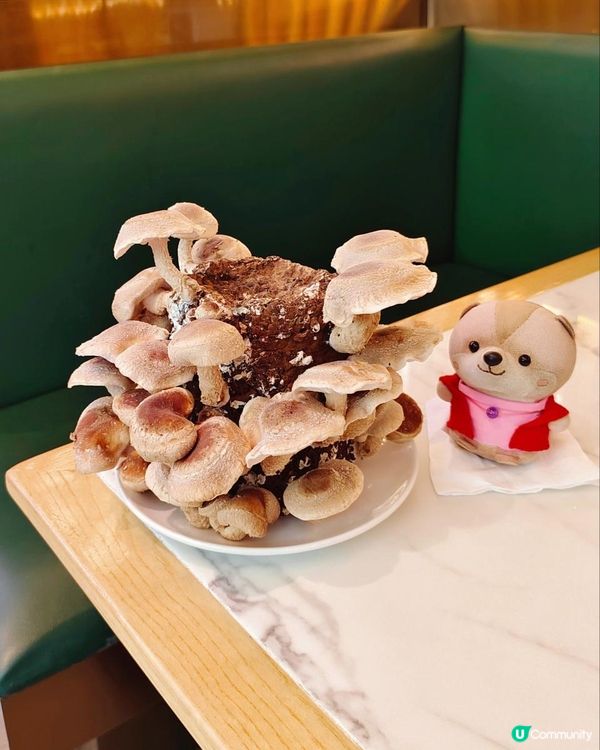 近關口！吃得到正宗雲南野生菌火鍋