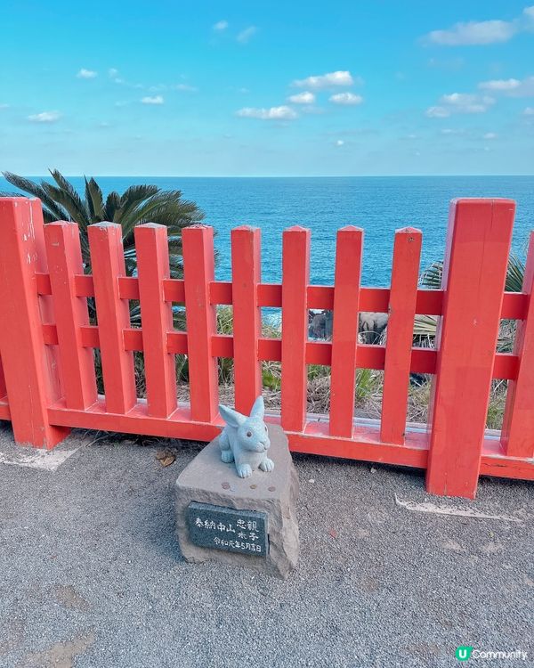 海岸崖上的洞窟神社⛩️