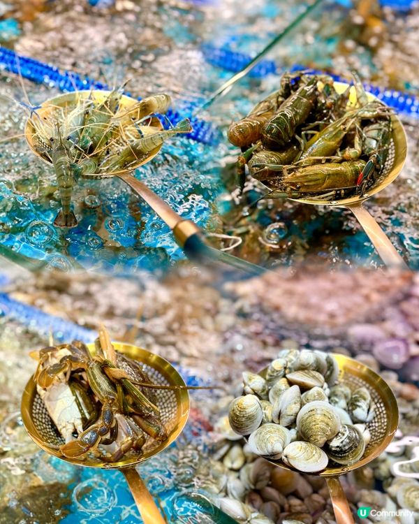 深圳任撈新鮮海鮮自助餐🦞任食金枕榴蓮😍