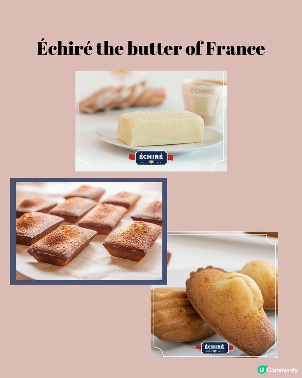 東京車站8大伴手禮精選🇯🇵附購買攻略‼️
