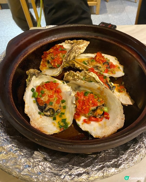 你地牛控定雞控？