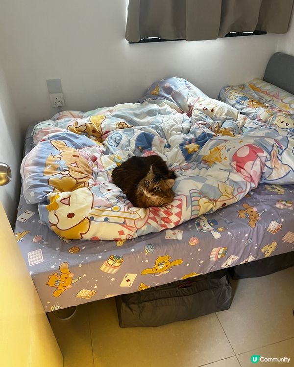 我唔怕黑 但怕凍