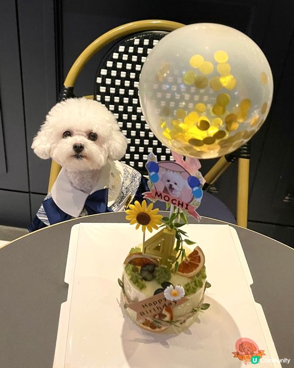 香港中環很適合慶生的法國餐廳