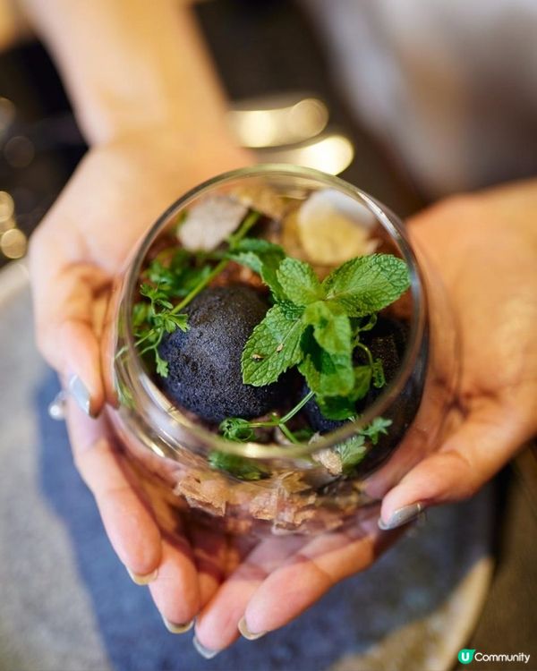 ｛松藝館｝尖沙咀海港城 海景浪漫西餐