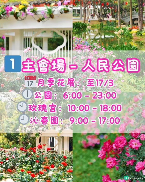 🌹深圳免費月季花展 五大公園聯動🌹最後6日‼️