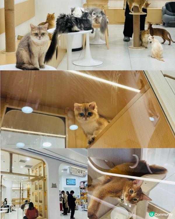 📍深圳｜南山全新商場‼️週末打卡好去處