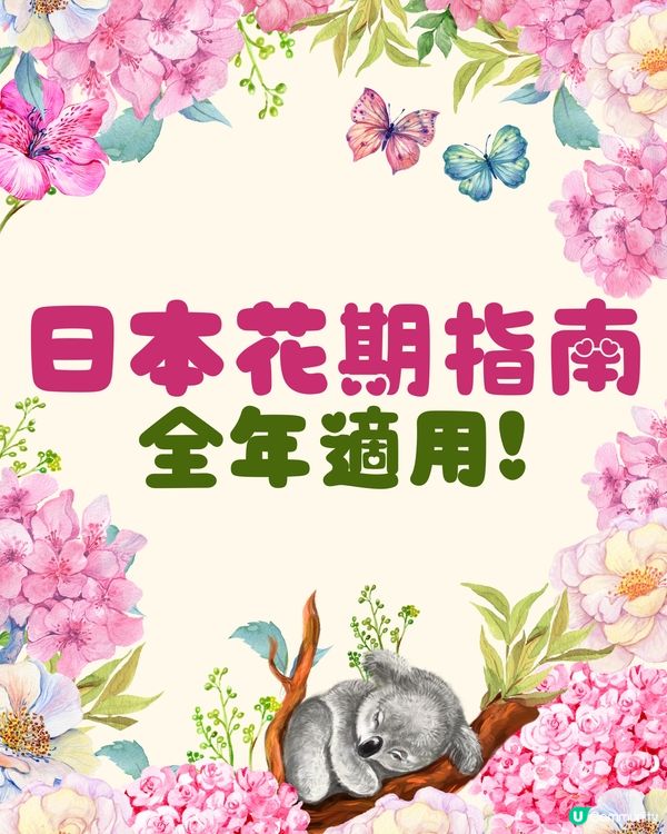 日本全年花期指南🌸鐘意賞花必須收藏‼️😍