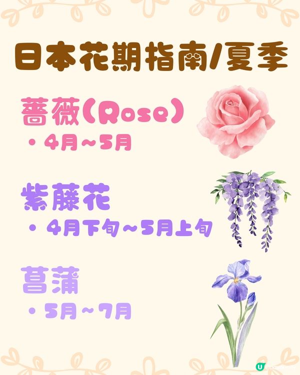 日本全年花期指南🌸鐘意賞花必須收藏‼️😍
