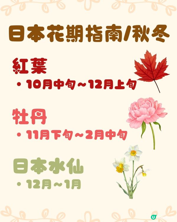 日本全年花期指南🌸鐘意賞花必須收藏‼️😍