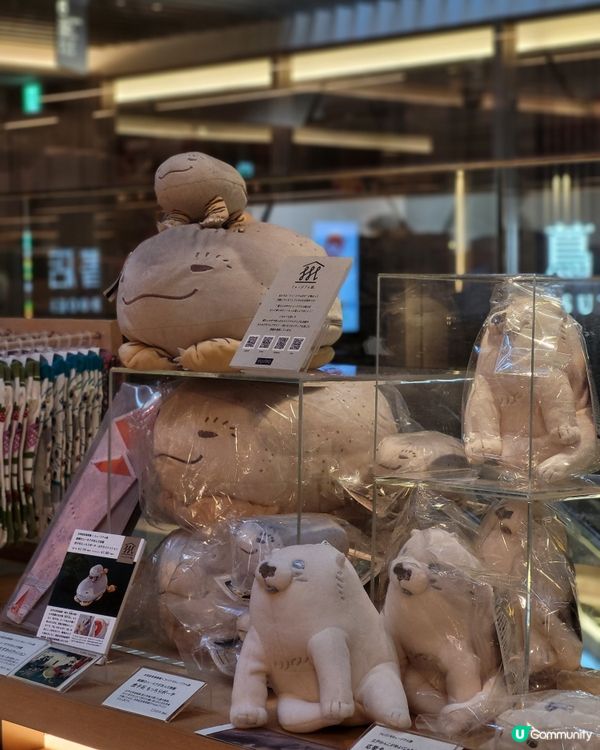 【🇯🇵東京銀座】藝術與文化的蔦屋書店